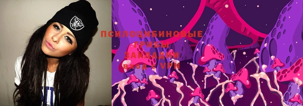 ГАЛЛЮЦИНОГЕННЫЕ ГРИБЫ Богородицк