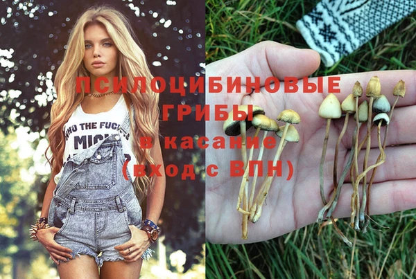 каннабис Богданович