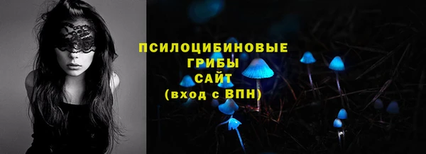 стаф Богородск