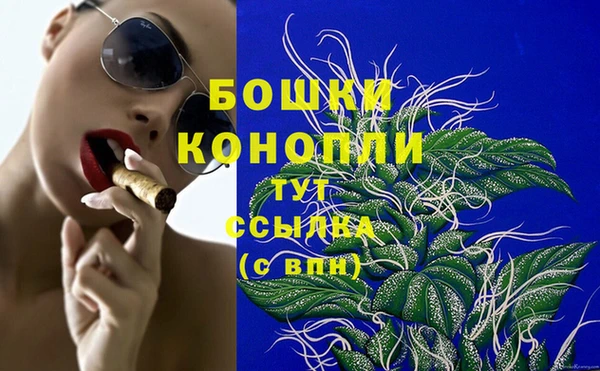 стаф Богородск