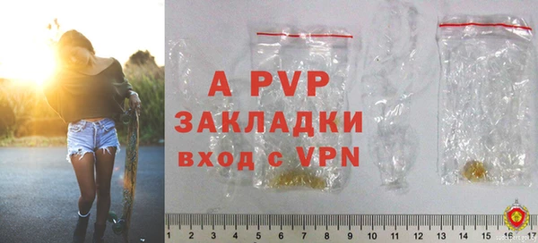 хмурый Нея