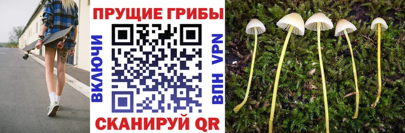 где найти наркотики  Белорецк  Галлюциногенные грибы MAGIC MUSHROOMS 